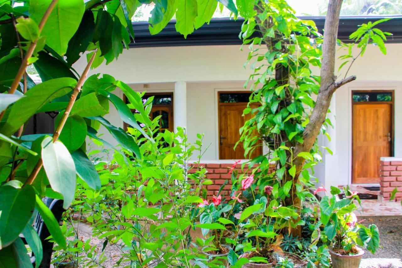 Galaxy View Homestay Sigiriya Exterior foto