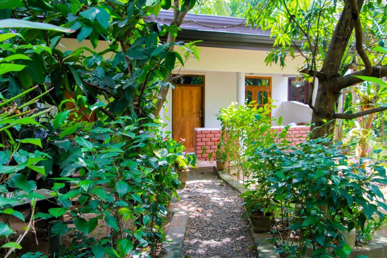 Galaxy View Homestay Sigiriya Exterior foto