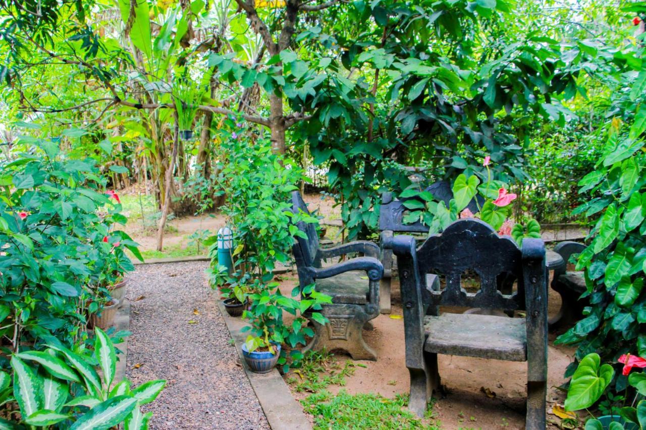 Galaxy View Homestay Sigiriya Exterior foto