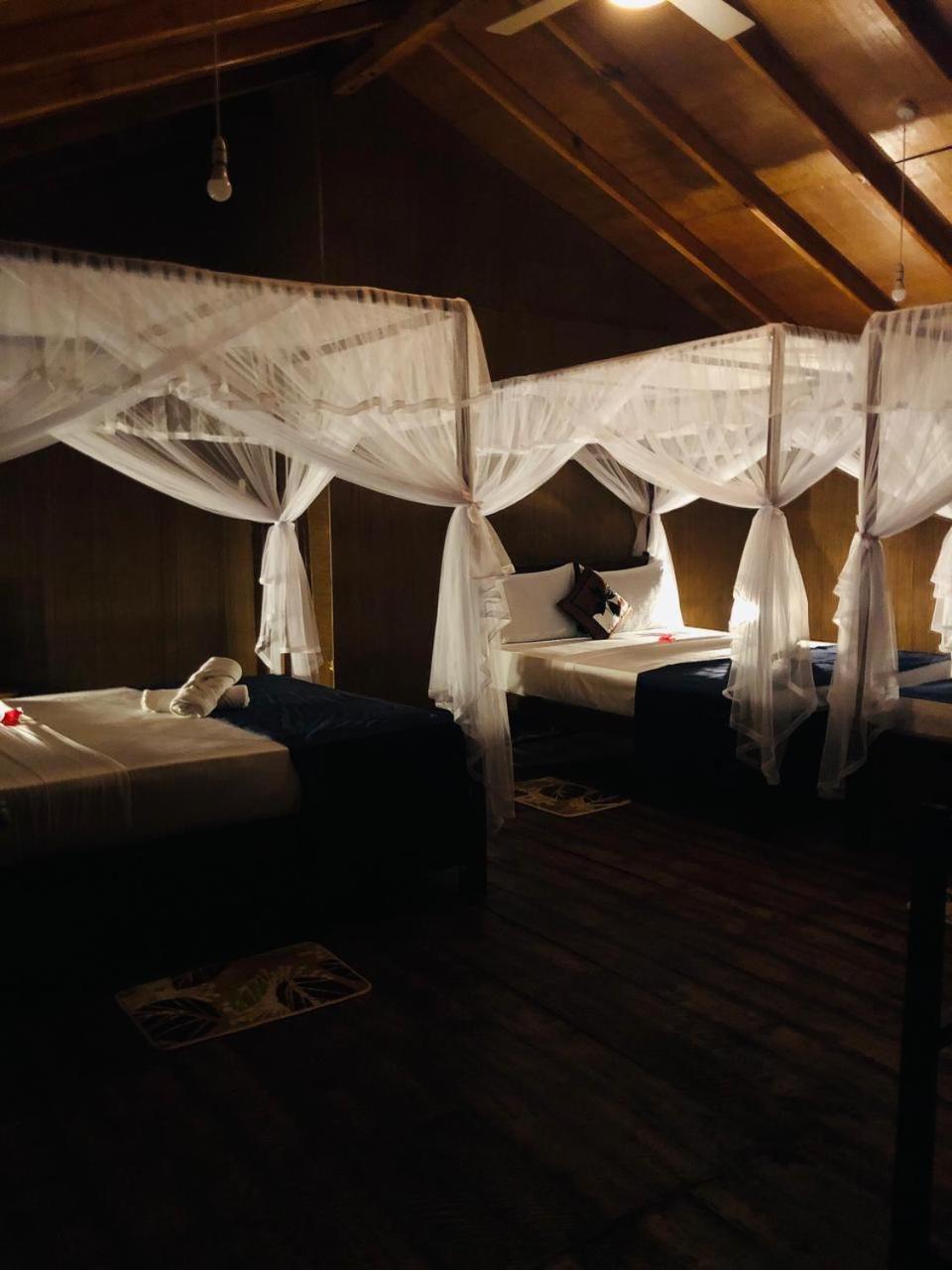 Galaxy View Homestay Sigiriya Exterior foto